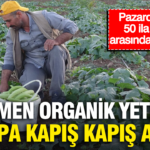 Pazarda kilosu 50 ila 100 tl arasinda degisiyor tamamen organik yetisiyor avrupa kapis kapis m4scTUG8
